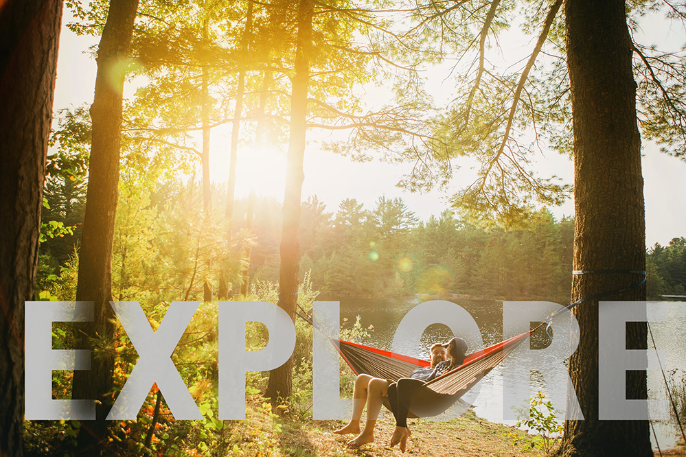 people chilling in a hammock in the woods