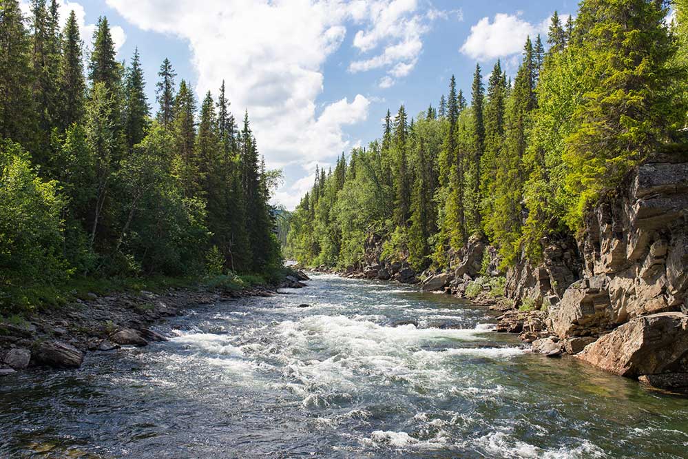 river scenery at portage trails